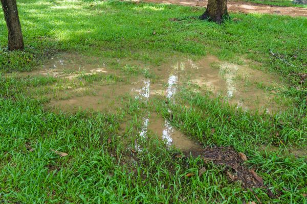 Cost of Storm Water Drainage Service in Gilbert