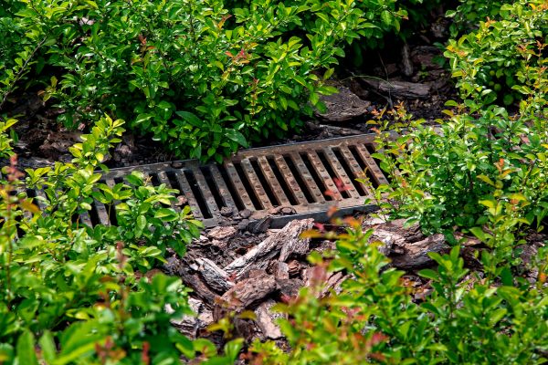 Cost of Underground Drainage Service in Gilbert