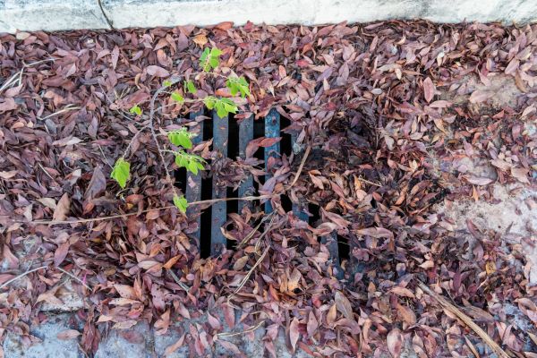 Cost of Yard Drain Unclogging in Gilbert