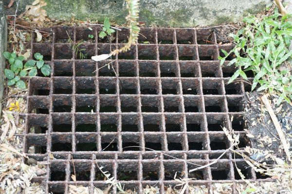 Yard Drain Cleaning in Gilbert