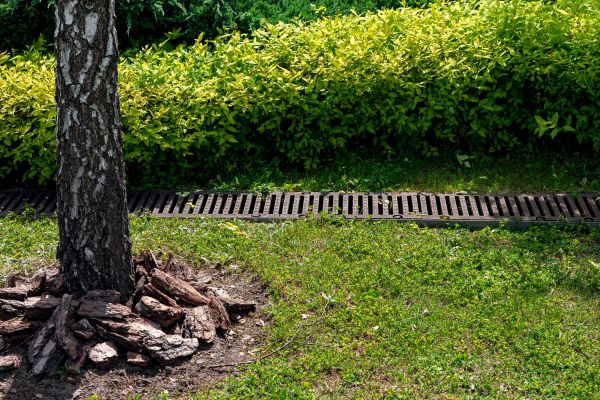 Cost of Wet Yard Drainage in Gilbert