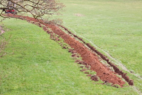 Cost of Swale Installation in Gilbert