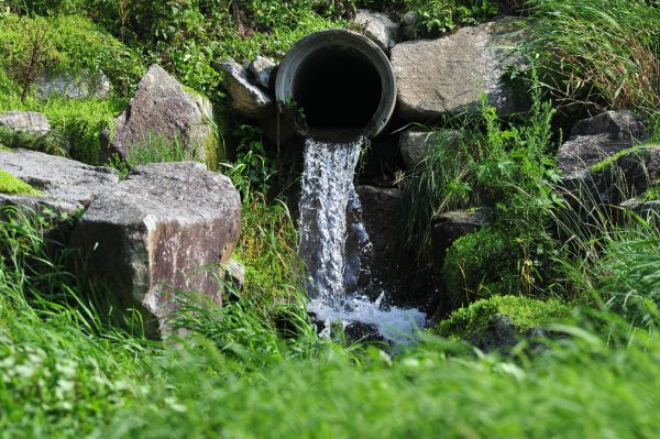 Water Redirection in Gilbert