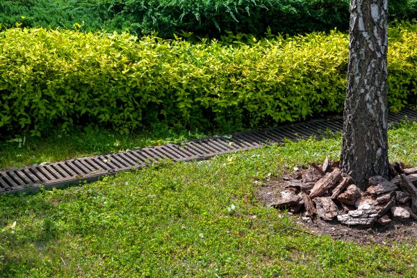 Cost of Residential Landscape Drainage in Gilbert
