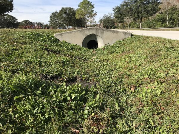 Cost of Swale Drainage Service in Gilbert